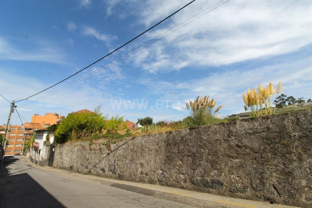 Quinta T0 para Venda em Oliveira do Douro Foto 3