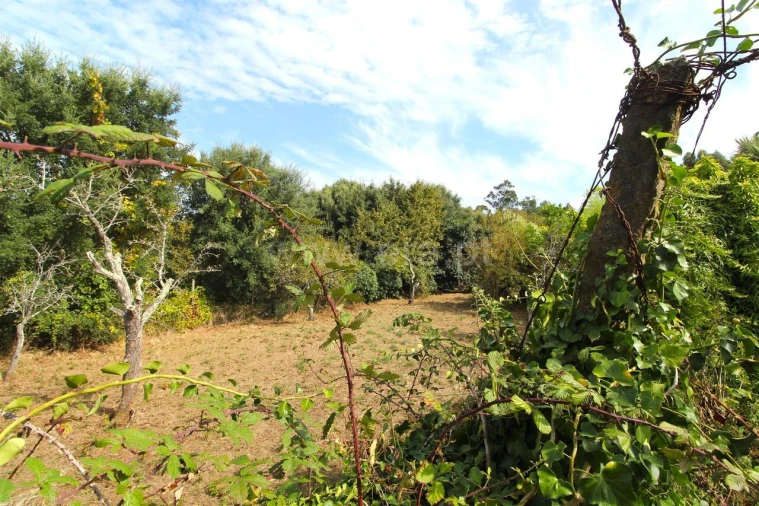 Quinta T0 para Venda em Oliveira do Douro Foto 12