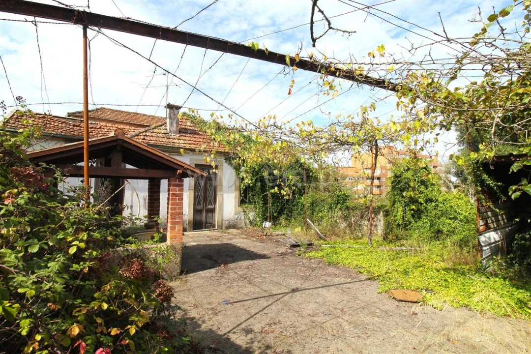 Quinta T0 para Venda em Oliveira do Douro Foto 10