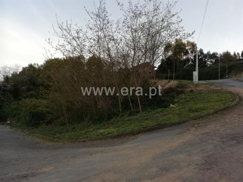 Terreno para Venda em Oliveira do Douro Foto 7