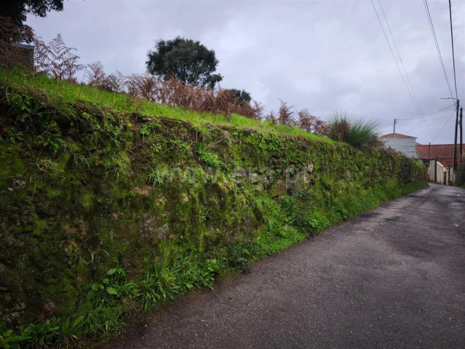 Terreno para Venda em Avintes Foto 2