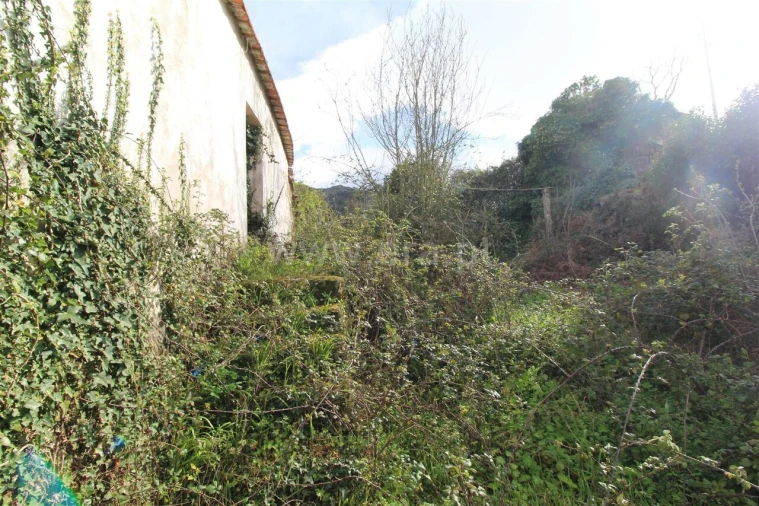 Moradia T0 para Venda em São Cristovão de Nogueira Foto 6