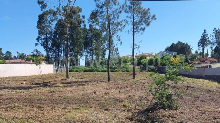 Terreno para Venda em Argoncilhe