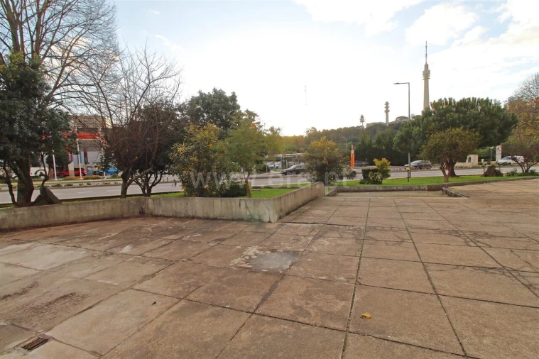 Apartamento T2 para Venda em Oliveira do Douro Foto 3
