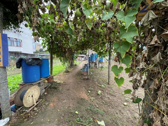 Moradia T0 para Venda em Oliveira do Douro Foto 6