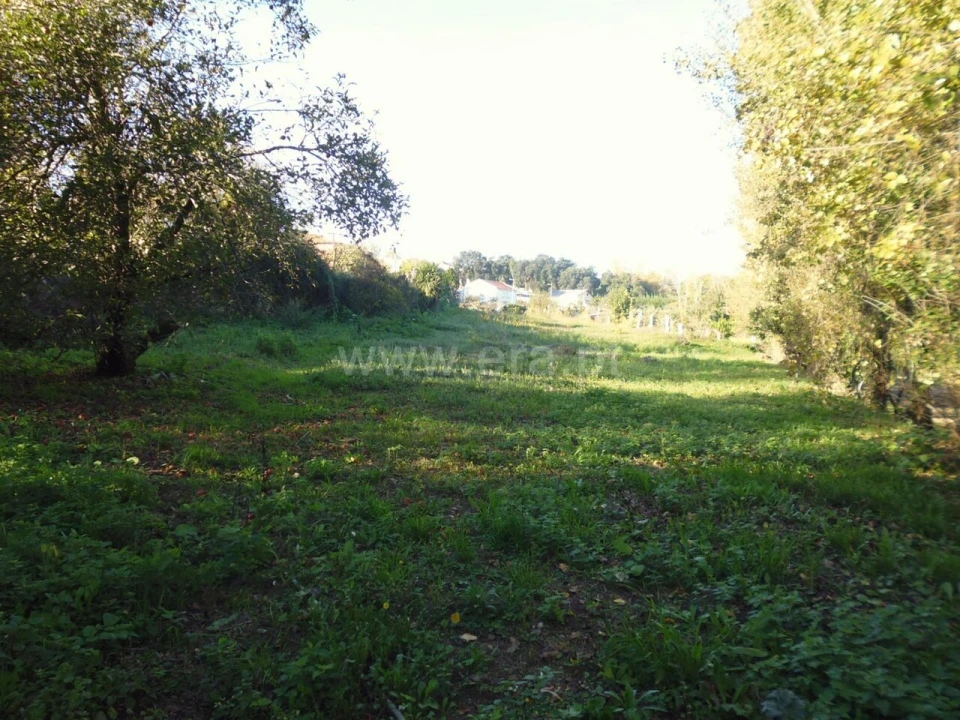Terreno para Venda em Oliveira do Douro Foto 1