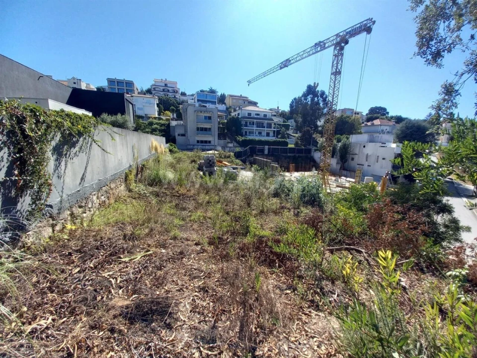 Terreno para Venda em Oliveira do Douro Foto 2