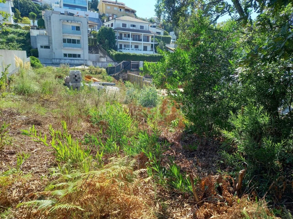 Terreno para Venda em Oliveira do Douro Foto 3