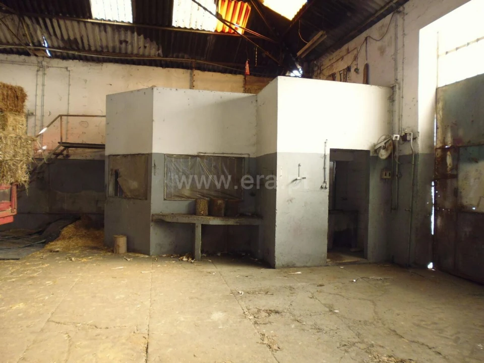 Armazém para Venda em Vilar de Andorinho Foto 3