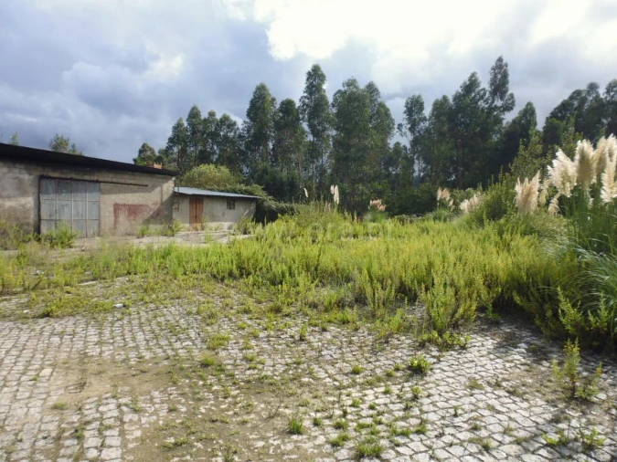 Armazém para Venda em Vilar de Andorinho Foto 6