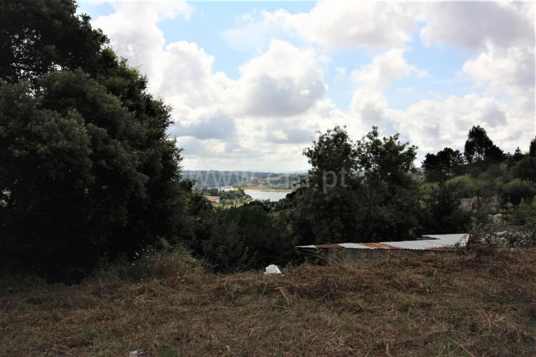 Terreno para Venda em Oliveira do Douro Foto 1