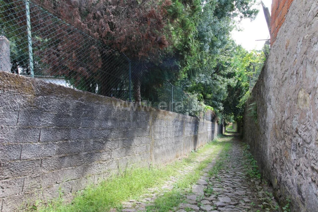 Terreno para Venda em Oliveira do Douro Foto 4