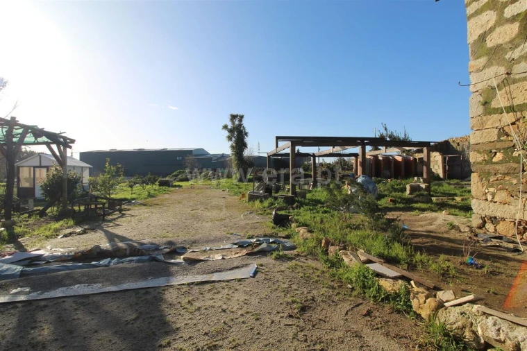 Quinta T0 para Venda em Avintes Foto 2