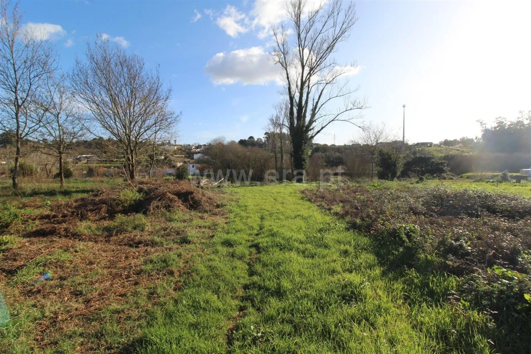 Quinta T0 para Venda em Avintes Foto 18