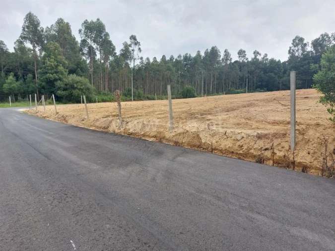 Terreno para Venda em Grijó e Sermonde Foto 3