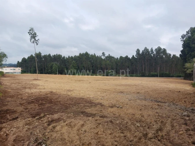 Terreno para Venda em Grijó e Sermonde Foto 9