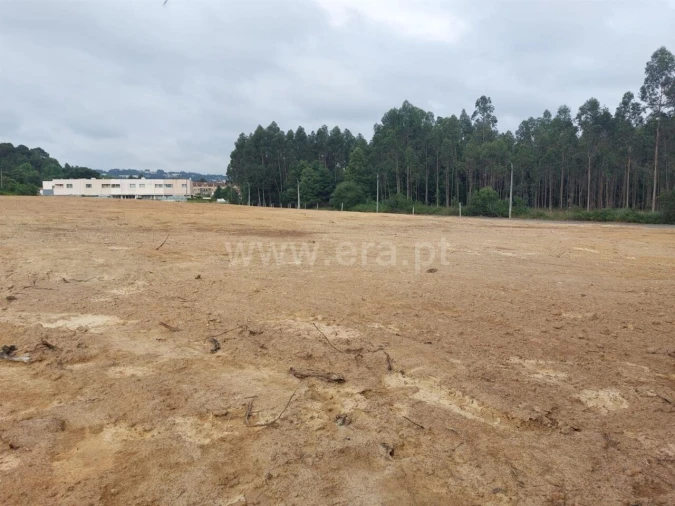 Terreno para Venda em Grijó e Sermonde Foto 11