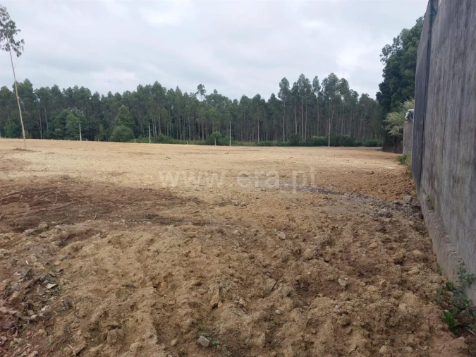 Terreno para Venda em Grijó e Sermonde Foto 8