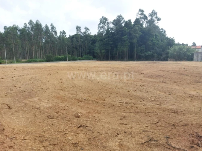 Terreno para Venda em Grijó e Sermonde Foto 5