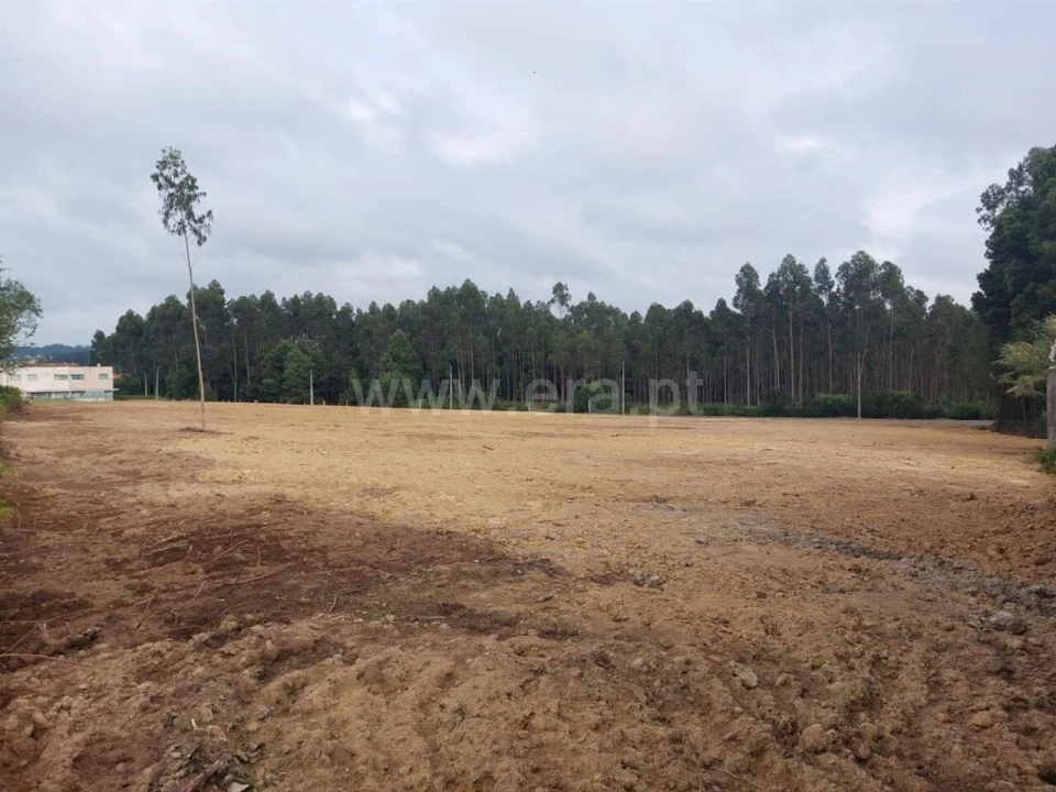 Terreno para Venda em Grijó e Sermonde Foto 9