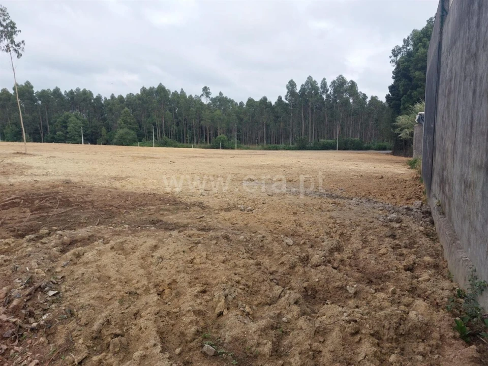Terreno para Venda em Grijó e Sermonde Foto 8