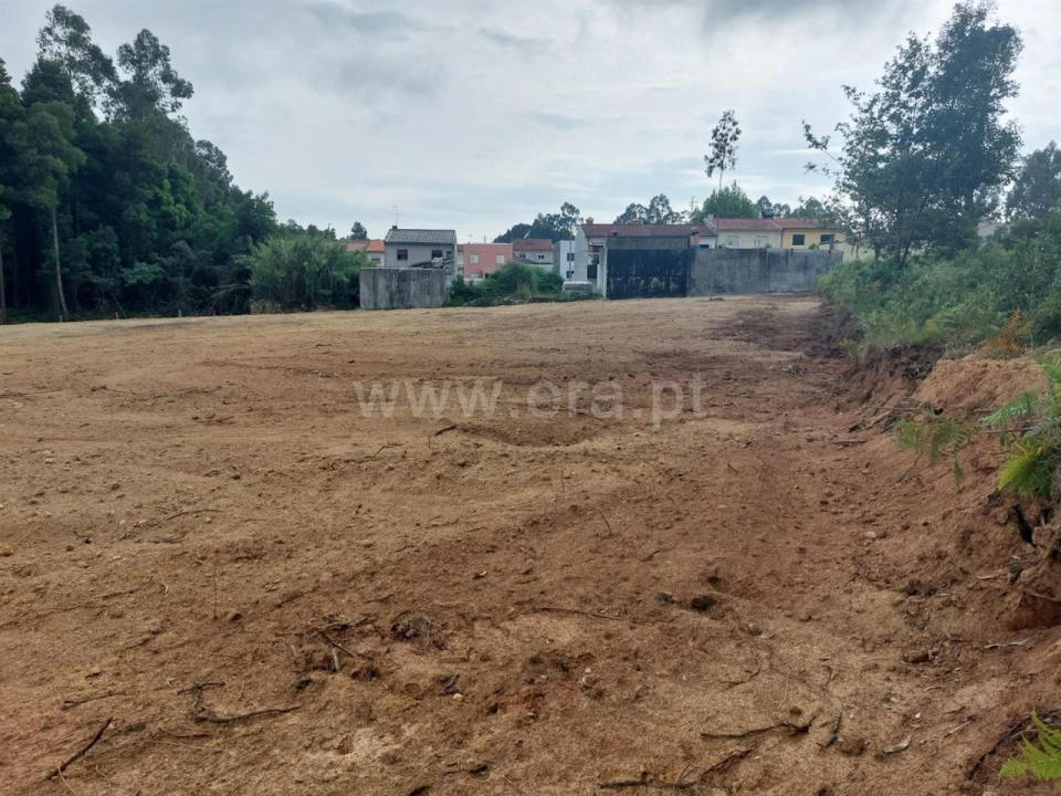 Terreno para Venda em Grijó e Sermonde Foto 4