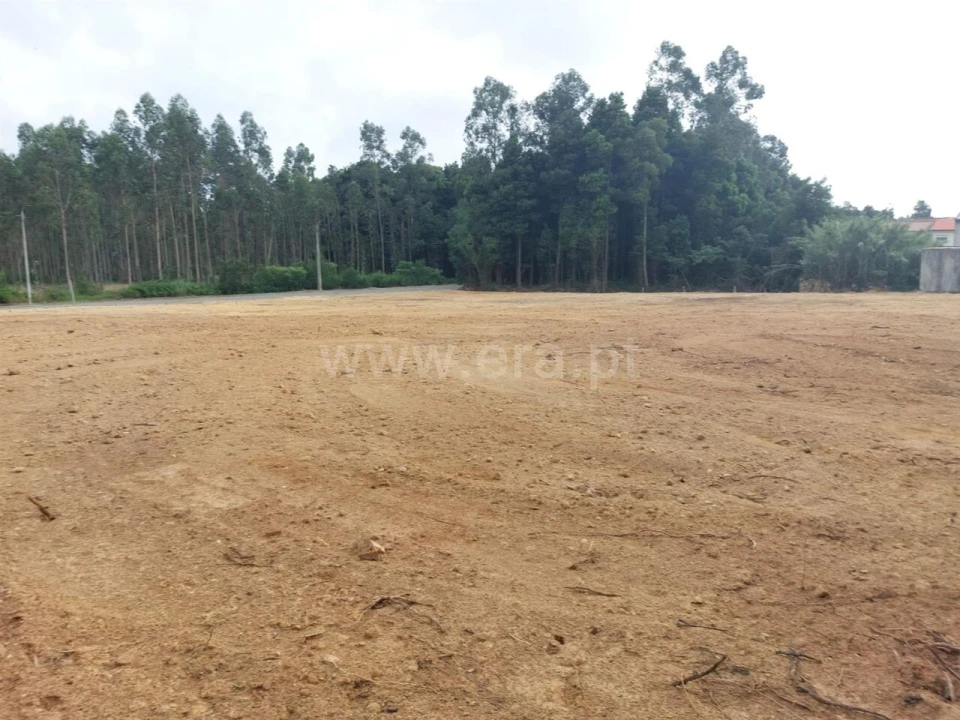 Terreno para Venda em Grijó e Sermonde Foto 5