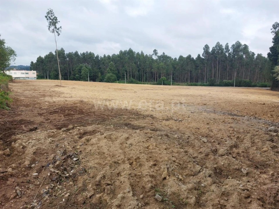 Terreno para Venda em Grijó e Sermonde Foto 7