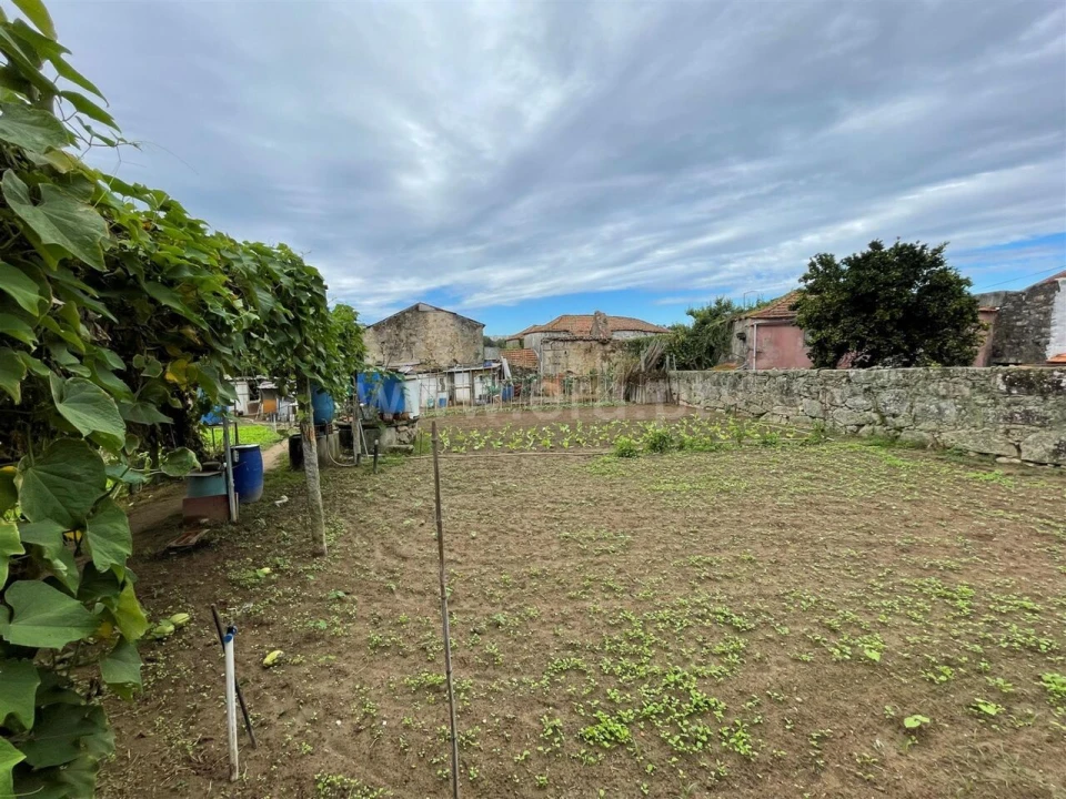 Terreno para Venda em Oliveira do Douro Foto 1