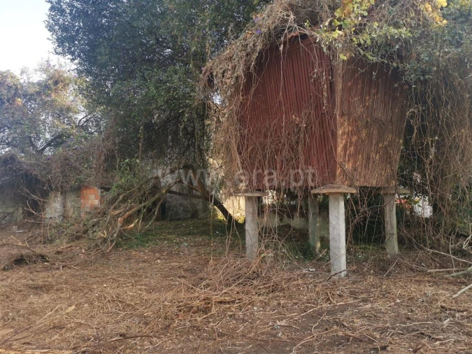 Quinta T0 para Venda em Avintes Foto 1