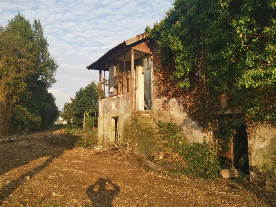 Quinta T0 para Venda em Avintes Foto 2