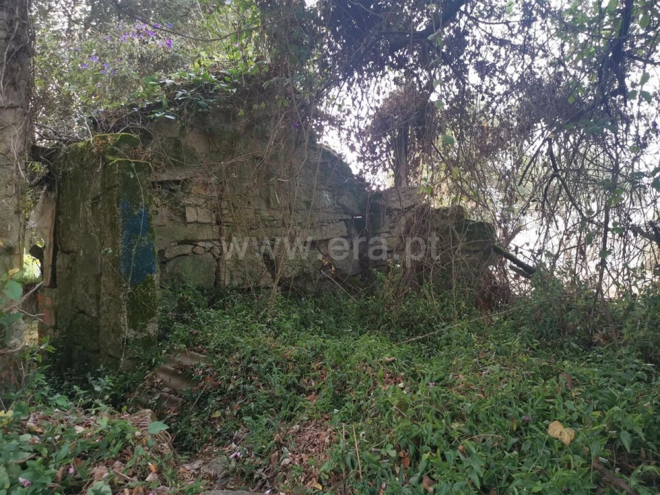 Quinta T0 para Venda em Avintes Foto 3