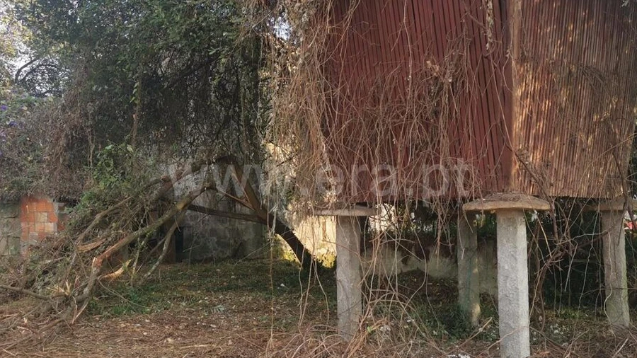 Quinta T0 para Venda em Avintes