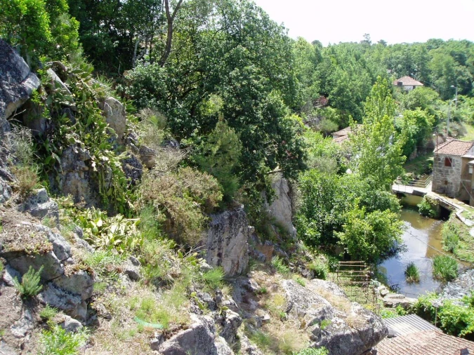 Terreno para Venda em Avintes Foto 3