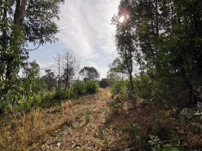Terreno para Venda em Vilar de Andorinho Foto 2