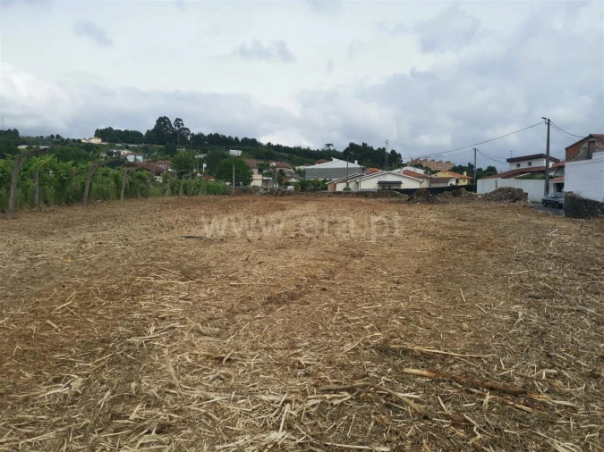 Terreno para Venda em Avintes Foto 1