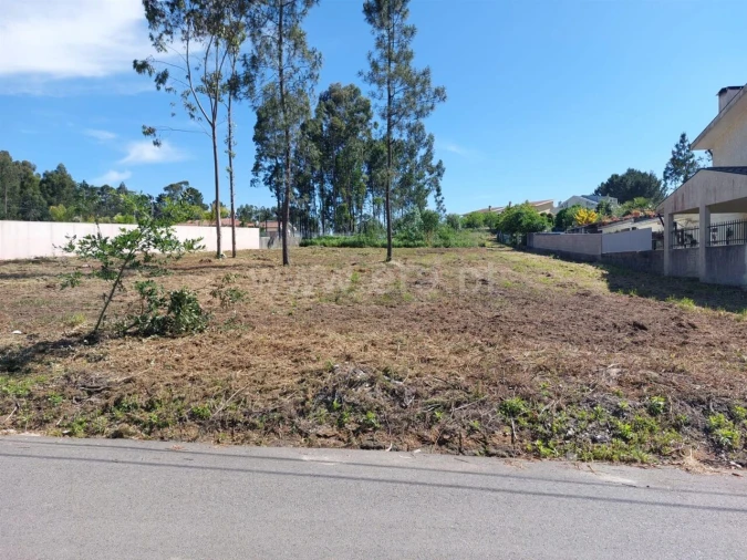 Terreno para Venda em Argoncilhe Foto 7