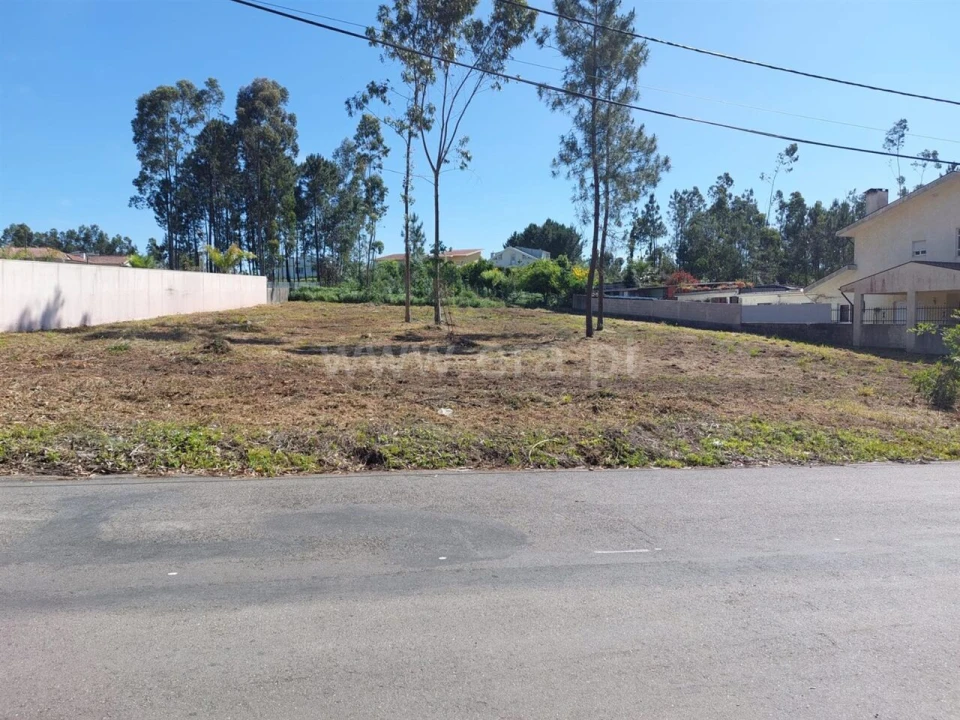 Terreno para Venda em Argoncilhe Foto 6