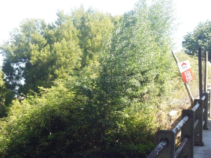 Terreno para Venda em Vilar de Andorinho Foto 6
