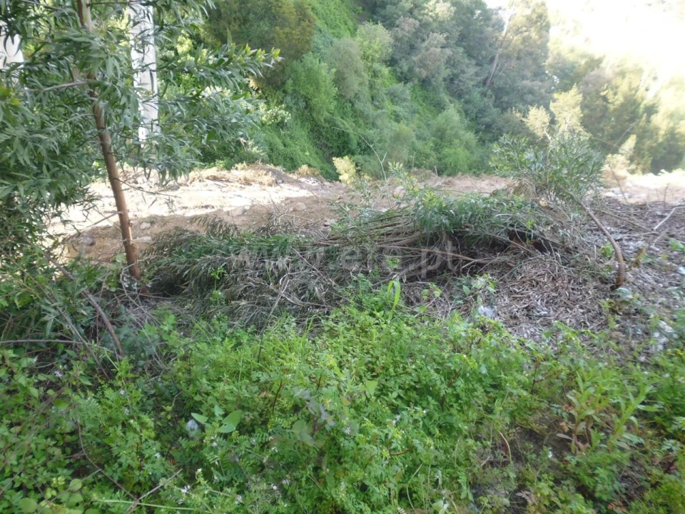 Terreno para Venda em Vilar de Andorinho Foto 8