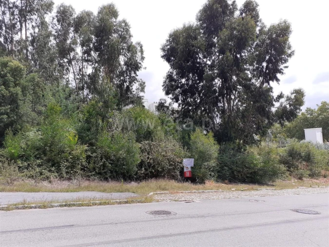 Terreno para Venda em Oliveira do Douro Foto 10