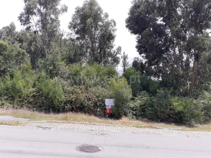 Terreno para Venda em Oliveira do Douro Foto 9