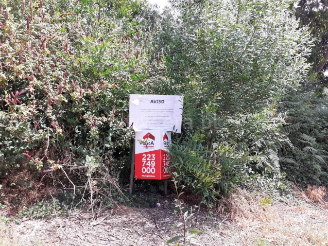 Terreno para Venda em Oliveira do Douro Foto 7