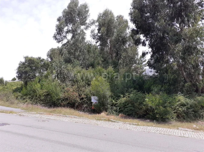 Terreno para Venda em Oliveira do Douro Foto 8