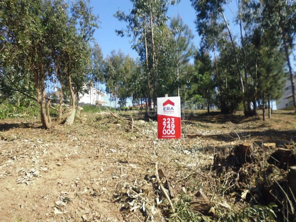 Terreno para Venda em Oliveira do Douro Foto 1