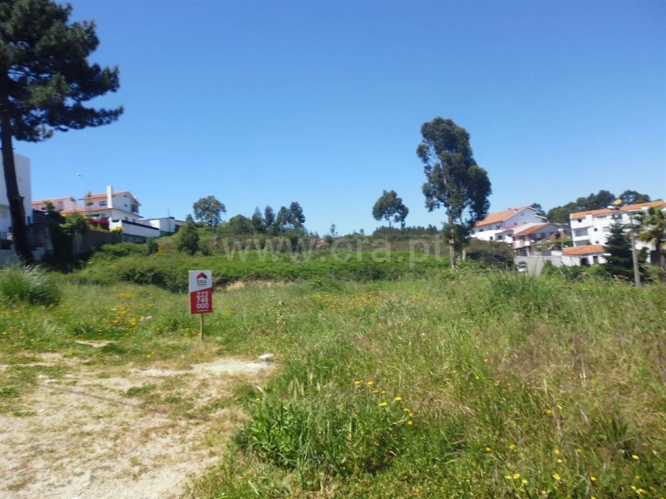 Terreno para Venda em Oliveira do Douro Foto 7