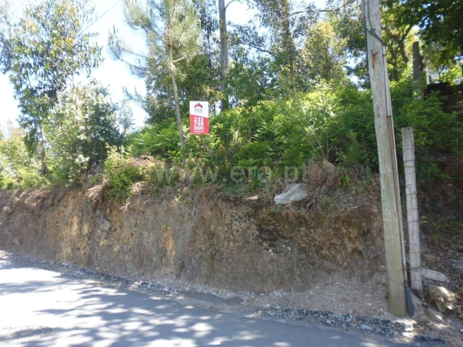 Terreno para Venda em Oliveira do Douro Foto 11