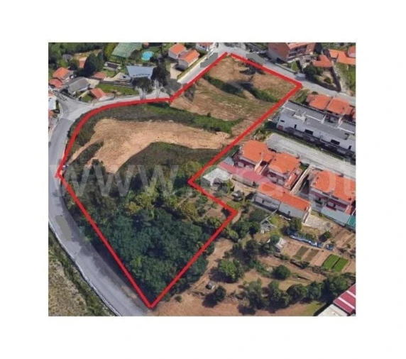 Terreno para Venda em Oliveira do Douro Foto 3