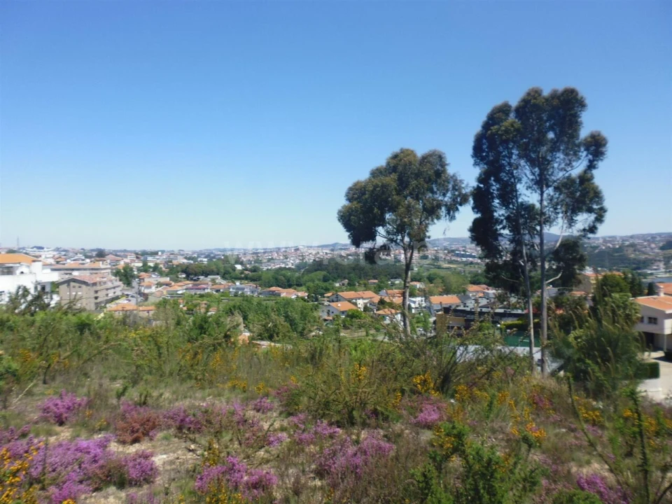 Terreno para Venda em Oliveira do Douro Foto 9