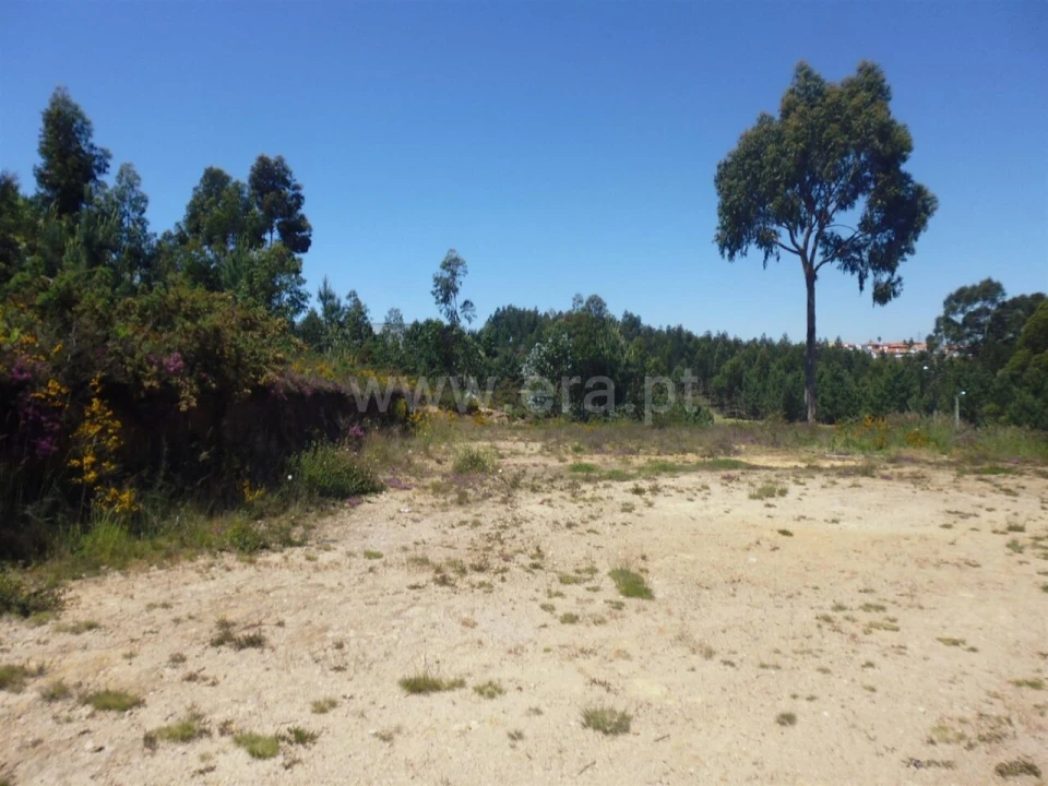 Terreno para Venda em Oliveira do Douro Foto 10